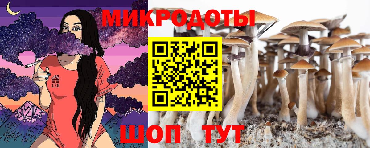 Псилоцибиновые грибы GOLDEN TEACHER  Галлюциногенные грибы Psilocybe  Вход с VPN  Печора 