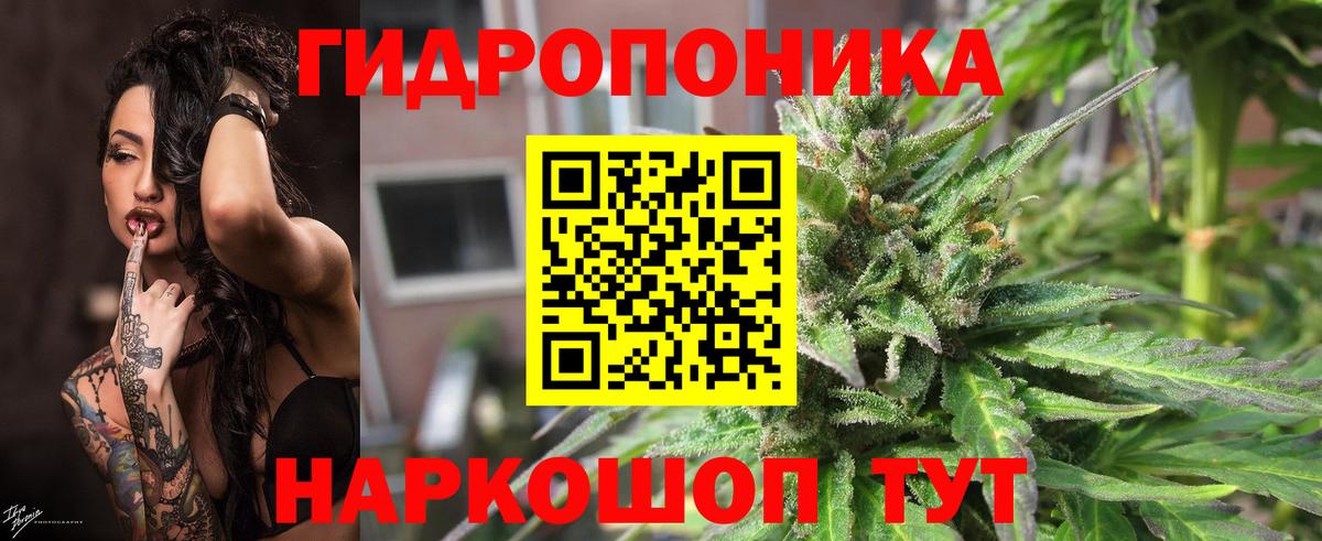 Печора  Бошки Шишки MAZAR  Вход с VPN  МАРИХУАНА OG Kush  Марихуана VHQ  Бошки марихуана конопля 